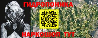соль ск Ипатово