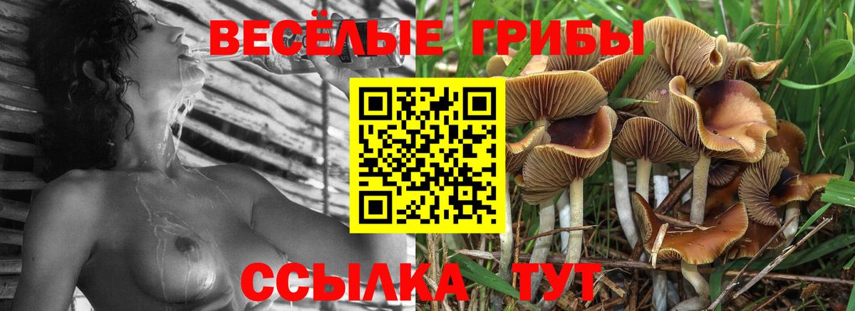 Псилоцибиновые грибы MAGIC MUSHROOMS  Псилоцибиновые грибы Cubensis  Вход с VPN  Люберцы 